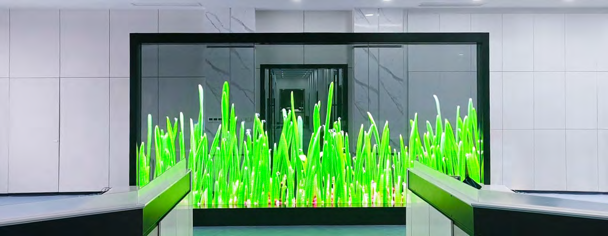 Transparent LED display with a floating garden of green sprouts in an office lobby