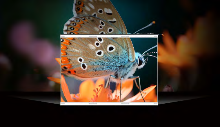 Close detail of image quality on a transparent display